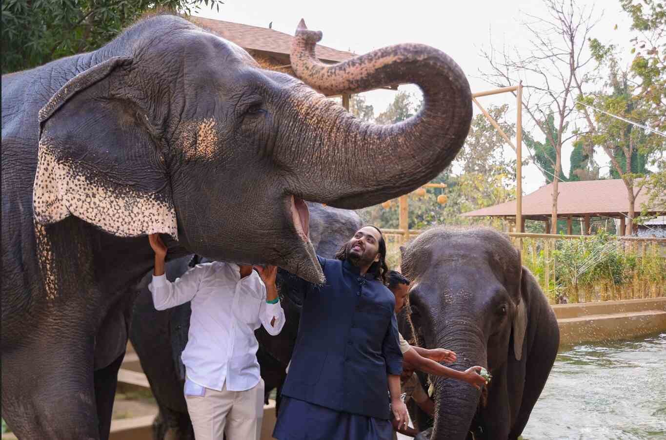 Vantara Zoo Jamnagar Ticket Price